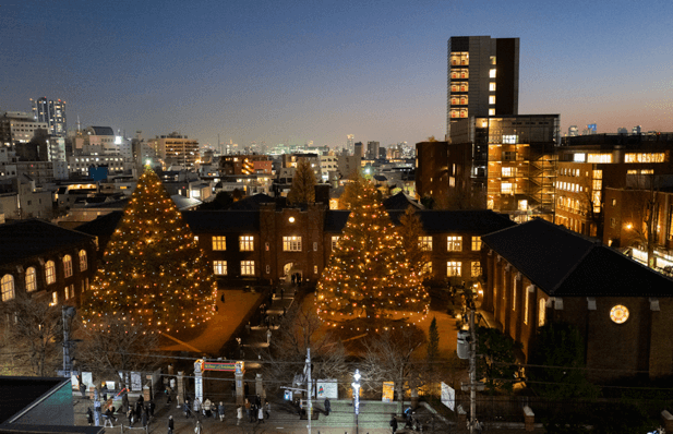 立教大學聖誕節的夜景