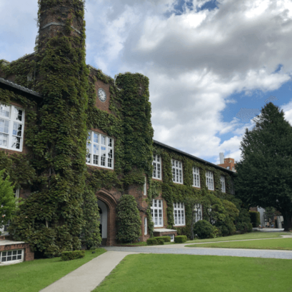 夏天的立教大學校園景色